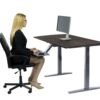 Premier Silver Dual Motor Electric Office Adjustable Standing Desk - Image 3