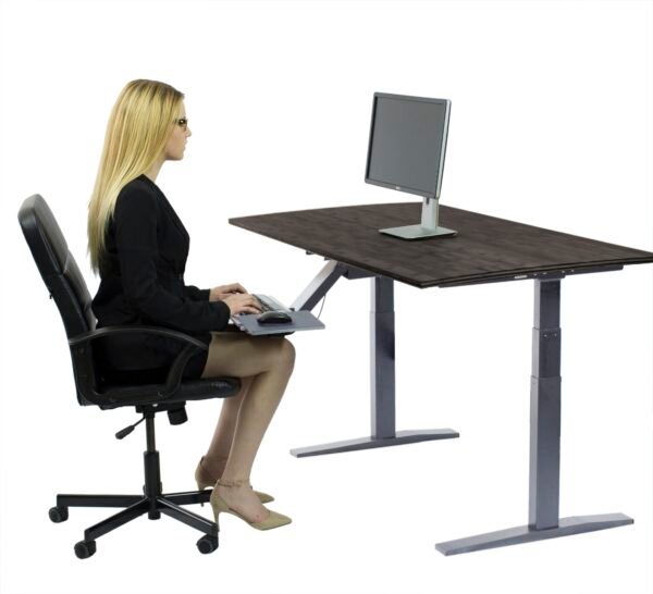 Premier 52" Silver Dual Motor Electric Office Adjustable Standing Desk - Image 3