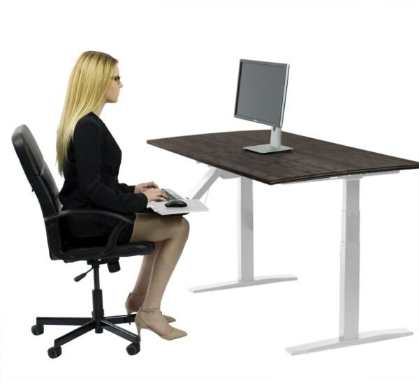 Premier 52" White Dual Motor Electric Office Adjustable Standing Desk - Image 2