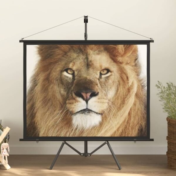 vidaXL Projection Screen with Tripod 60" 4:3