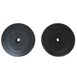 vidaXL Weight Plates 2×22 lb