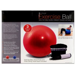 Case of 1 – Exercise Ball with Pump